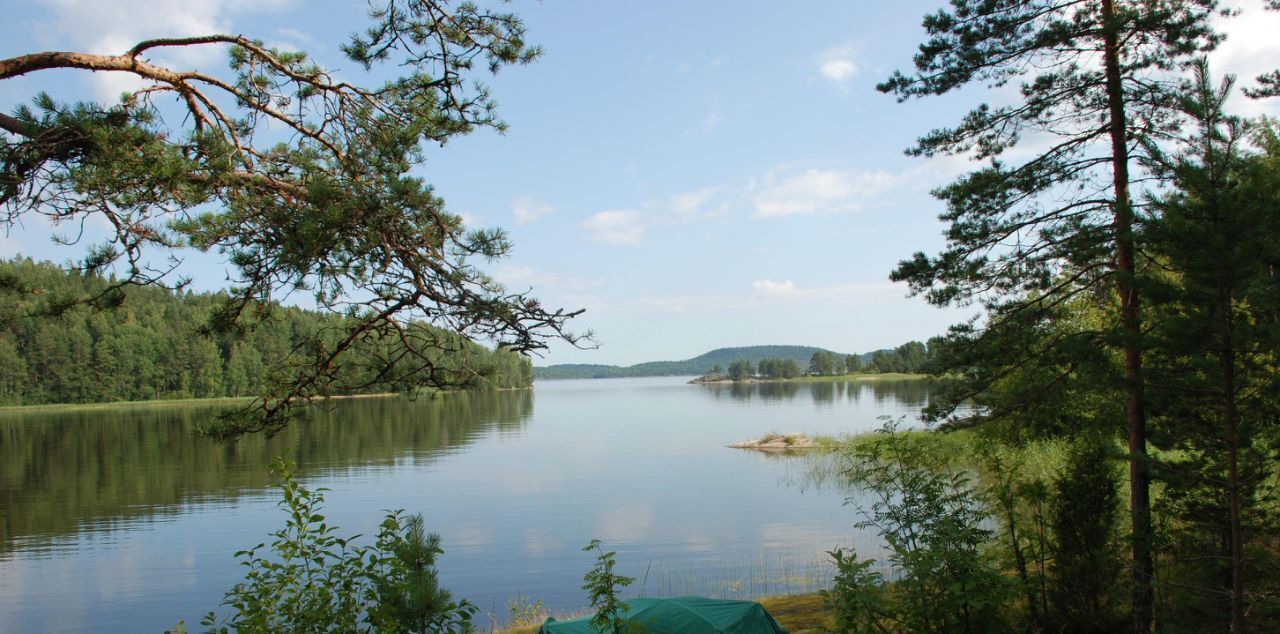 земля р-н Лахденпохский п Нива Сортавальское городское поселение, СОТ, 83 фото 22