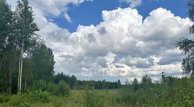 земля СОТ, Пойковский городское поселение фото