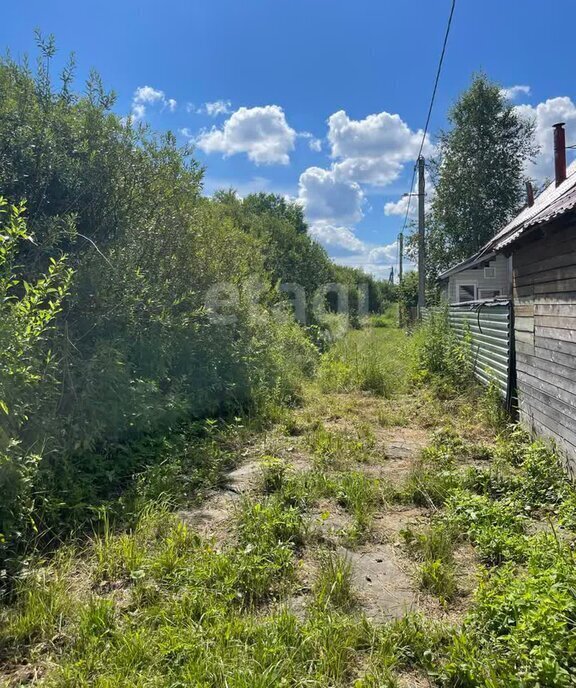 земля Дмитровский городской округ, СНТ Надежда-М фото 16