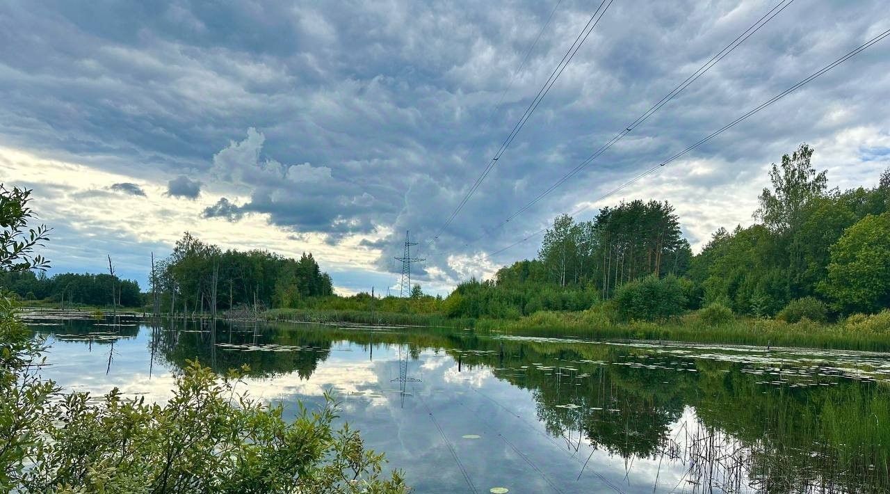 земля р-н Лужский снт терМичуринское Серебрянское с/пос фото 1