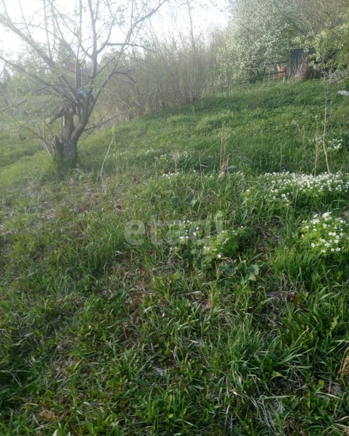 земля р-н Алтайский с Алтайское с. Алтайское фото 1