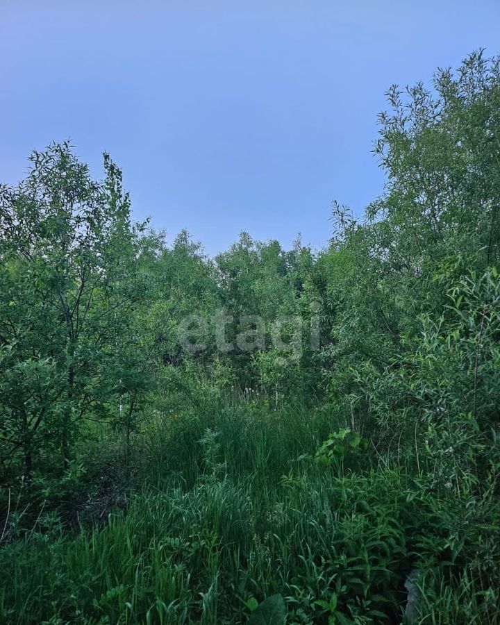 земля р-н Смидовичский п Приамурский Еврейская автономная обл. фото 3