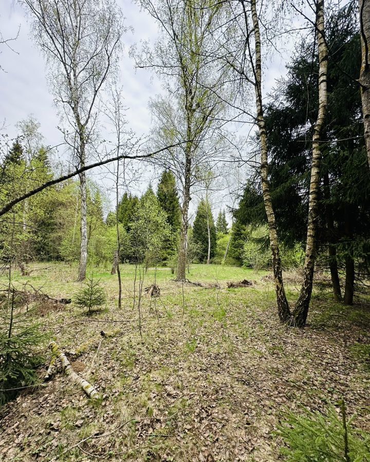 земля городской округ Домодедово 21 км, с. Битягово, Новокаширское шоссе фото 10