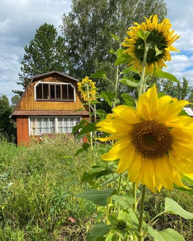 Богашёвское сельское поселение, Пятая ул., 122, садовое товарищество Ягодка фото