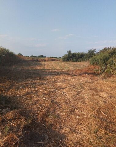 ул Воровского 52 Старонижестеблиевское сельское поселение фото