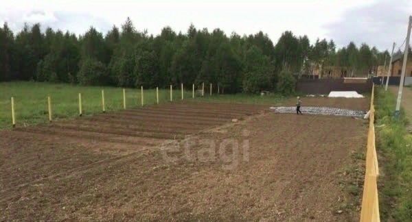 земля городской округ Солнечногорск д Повадино Зеленоград — Крюково фото 1