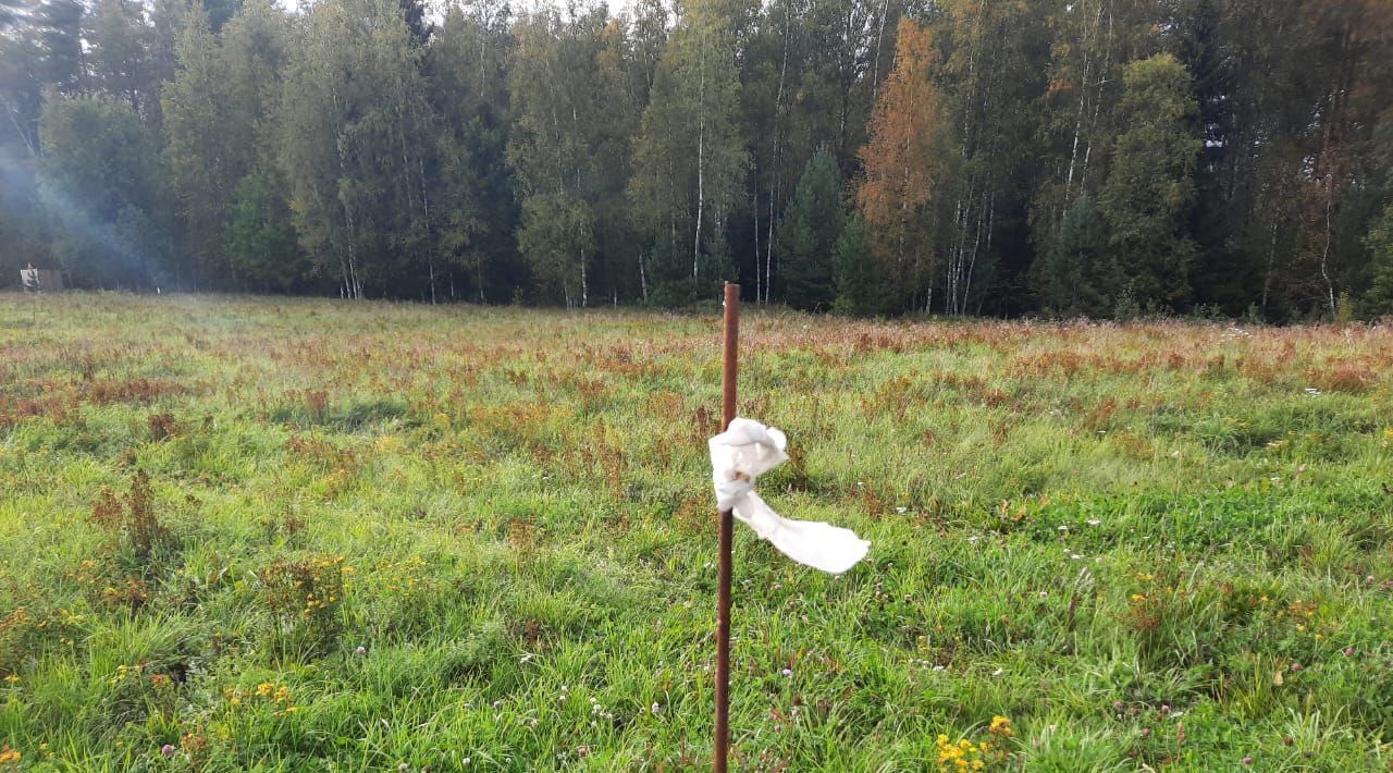 земля р-н Приозерский д Васильево КП Коробицыно Лайф с пос, Красноозерное фото 10