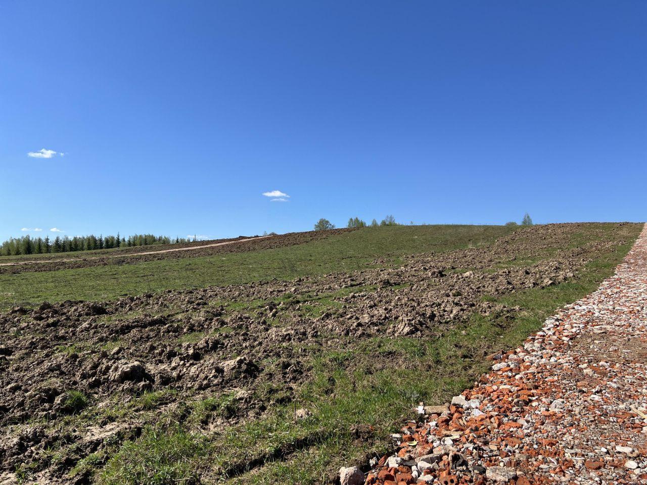 земля городской округ Дмитровский д Шихово 60, Солнечногорск фото 5