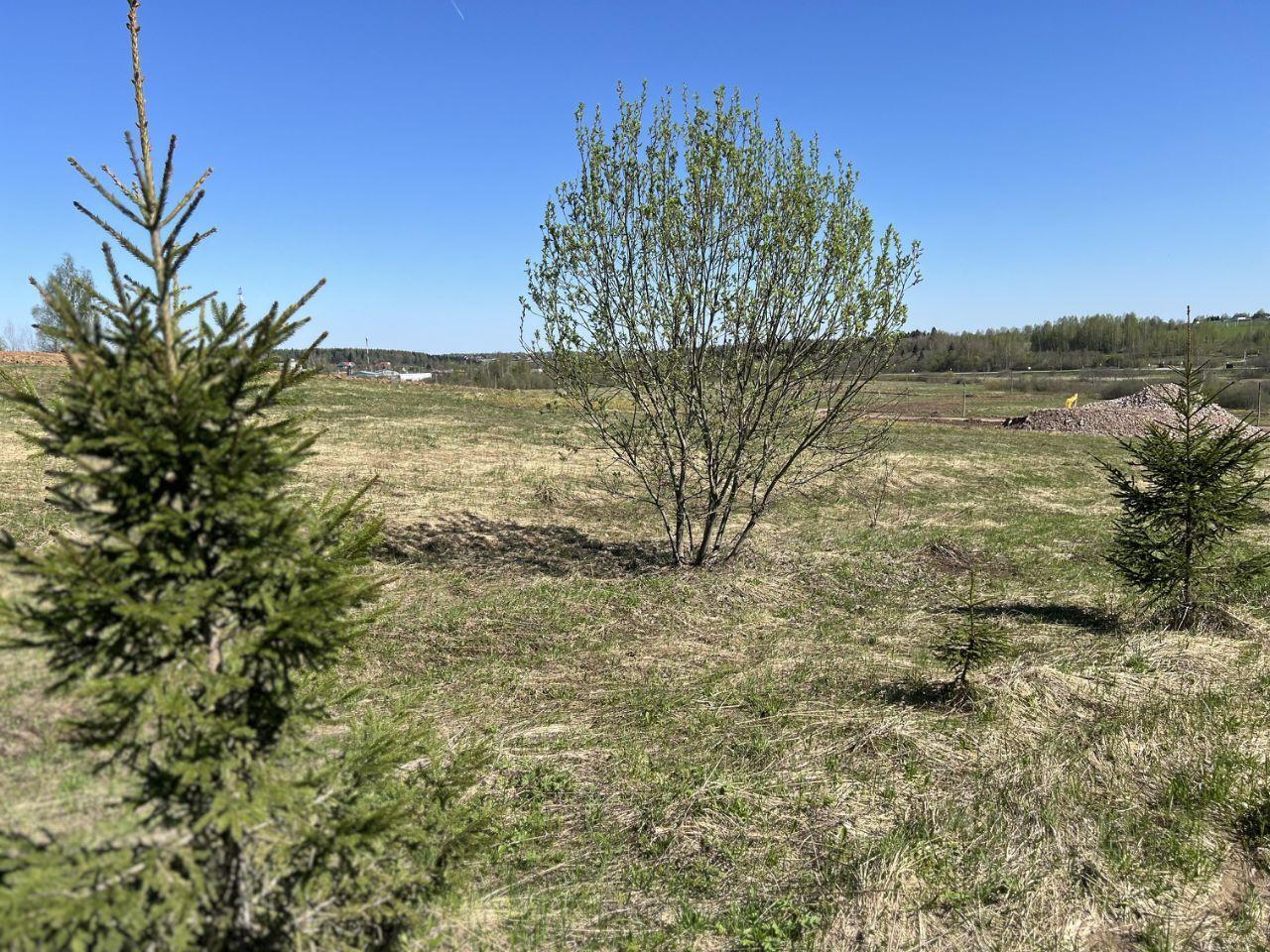 земля городской округ Дмитровский д Шихово 60, Солнечногорск фото 16