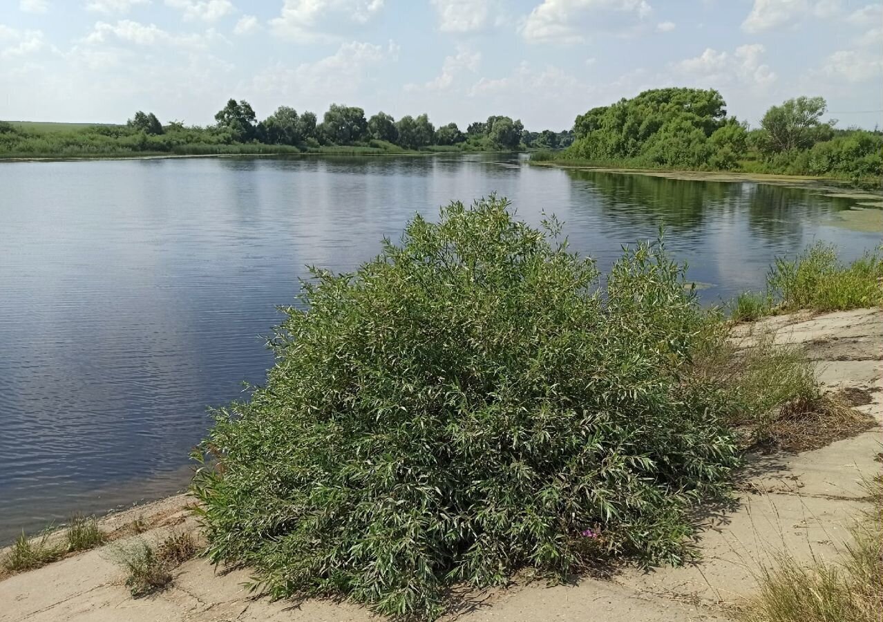 земля городской округ Луховицы д Строилово снт Прометей 114 км, Луховицы, Новорязанское шоссе фото 5