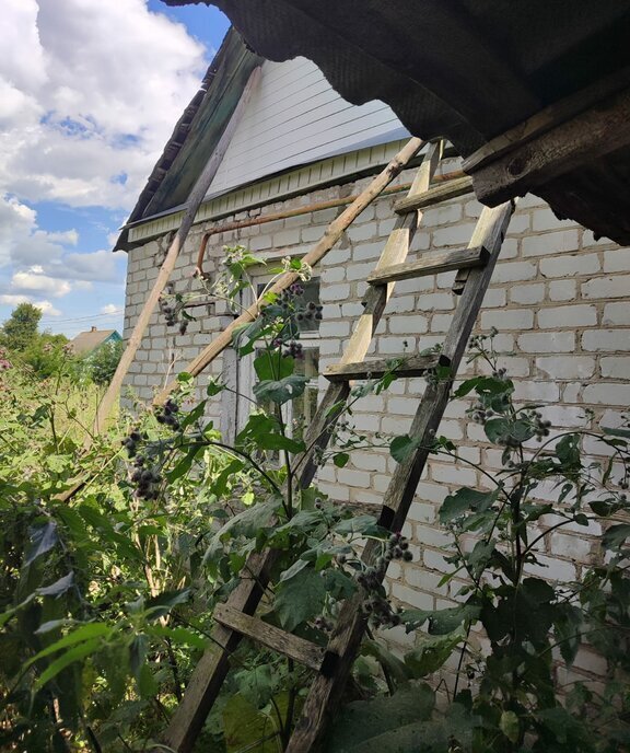 дом р-н Почепский г Почеп пер 1-й Горького 1а Почепское городское поселение фото 6