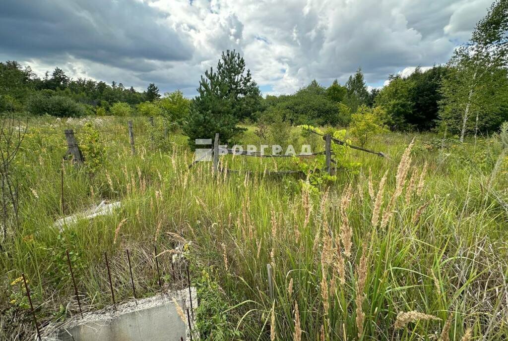 земля Рамонское городское поселение, СНТ Поляна фото 6