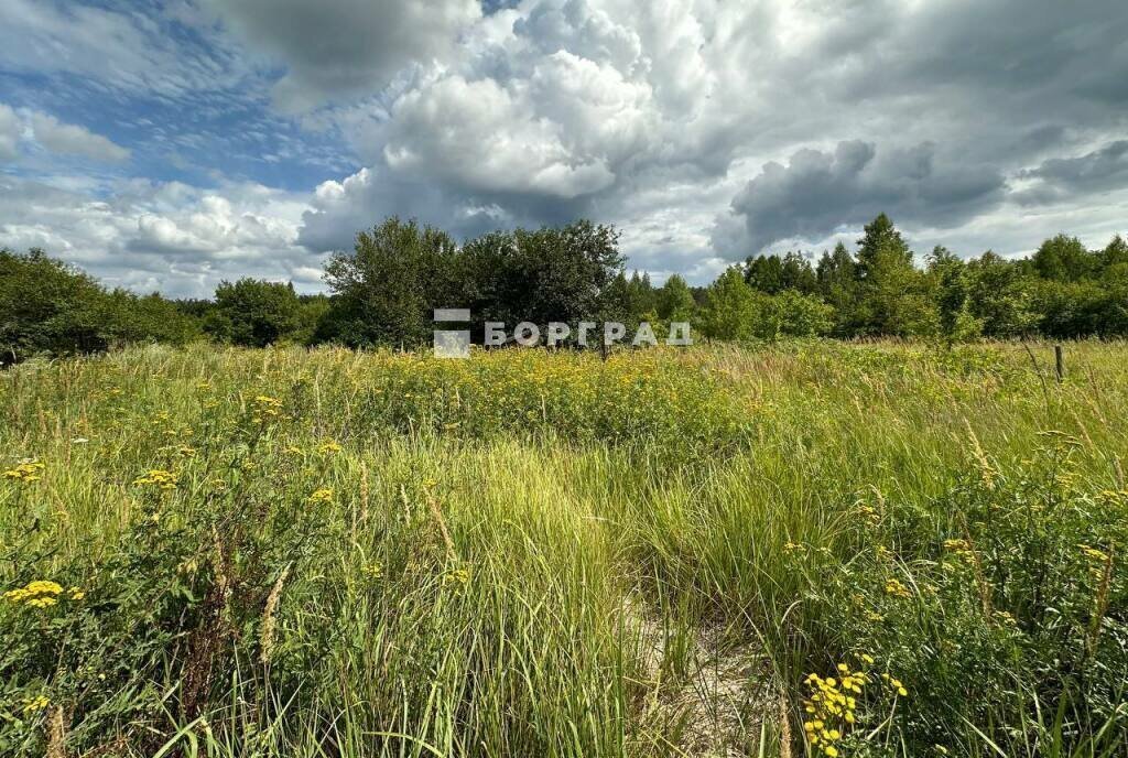 земля Рамонское городское поселение, СНТ Поляна фото 10