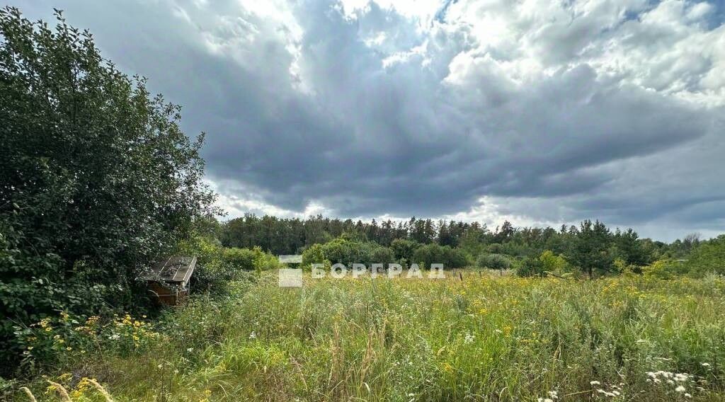 земля Рамонское городское поселение, 19, Поляна СНТ фото 12