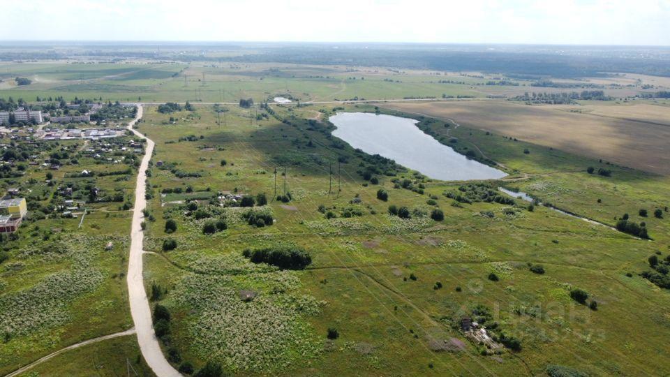 земля р-н Ломоносовский д Яльгелево Ропшинское сельское поселение, Русско-Высоцкое фото 6