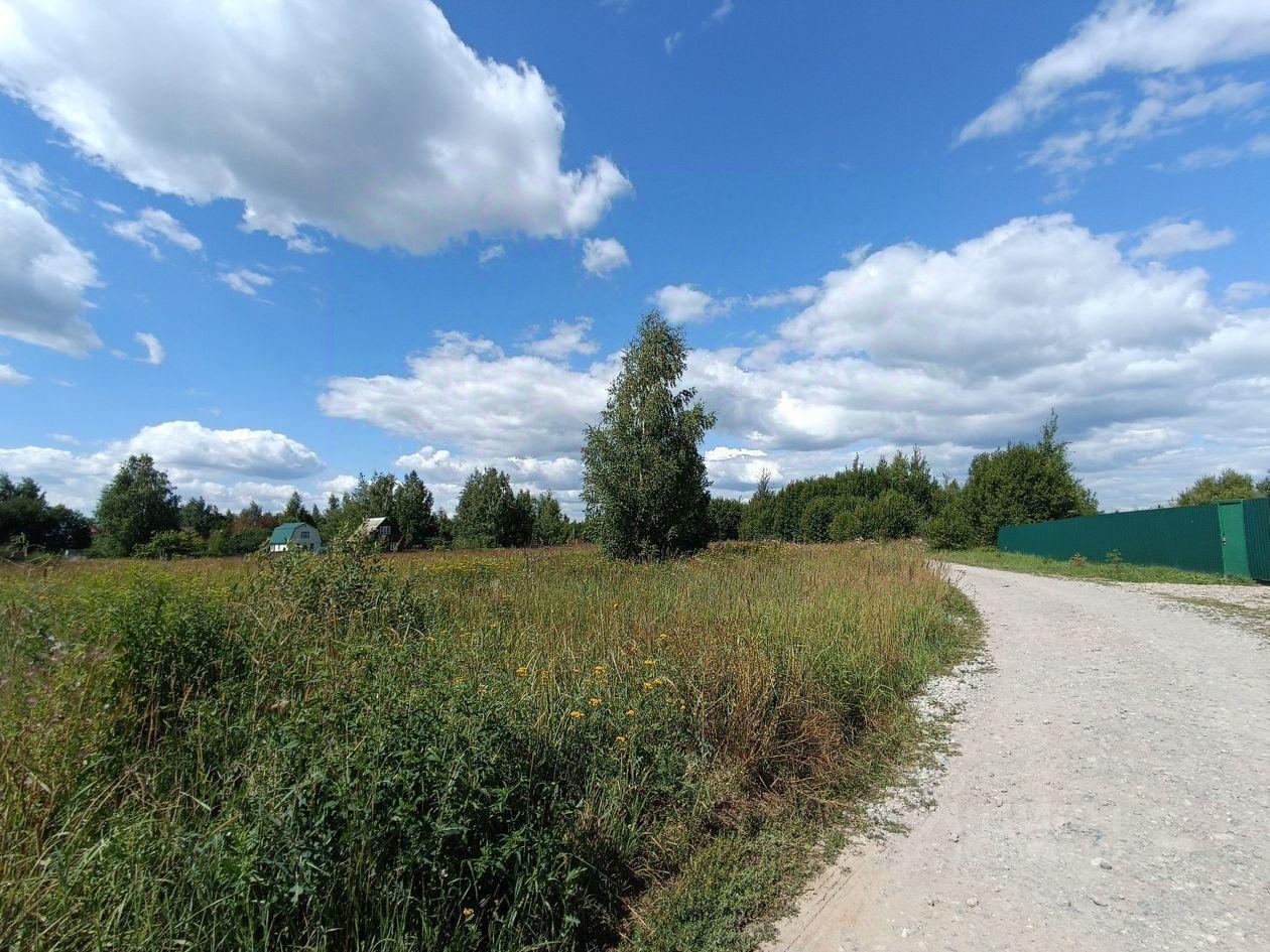 земля городской округ Раменский д Бубново 280, Давыдово фото 12