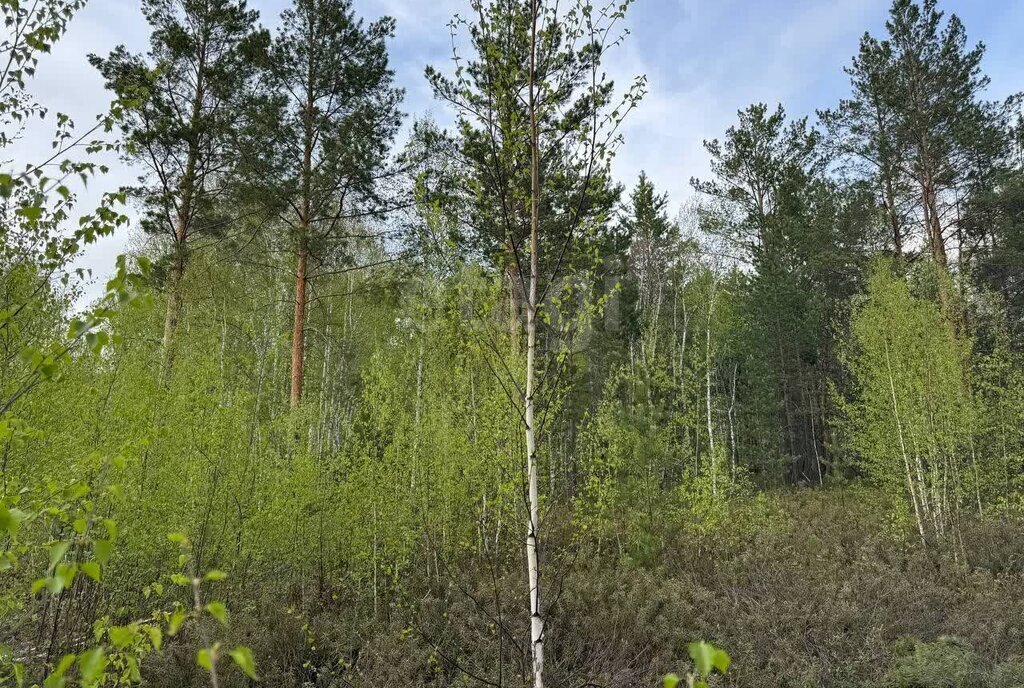 земля р-н Нижнетавдинский снт Здоровье-2 ул 9-я фото 9