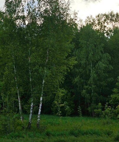 Демидовское, муниципальное образование фото