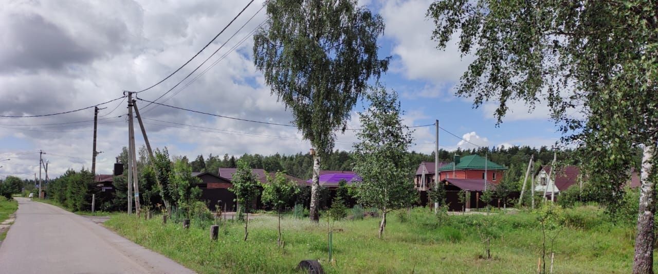 земля городской округ Щёлково д Мишнево ул Кооперативная Фрязино фото 1