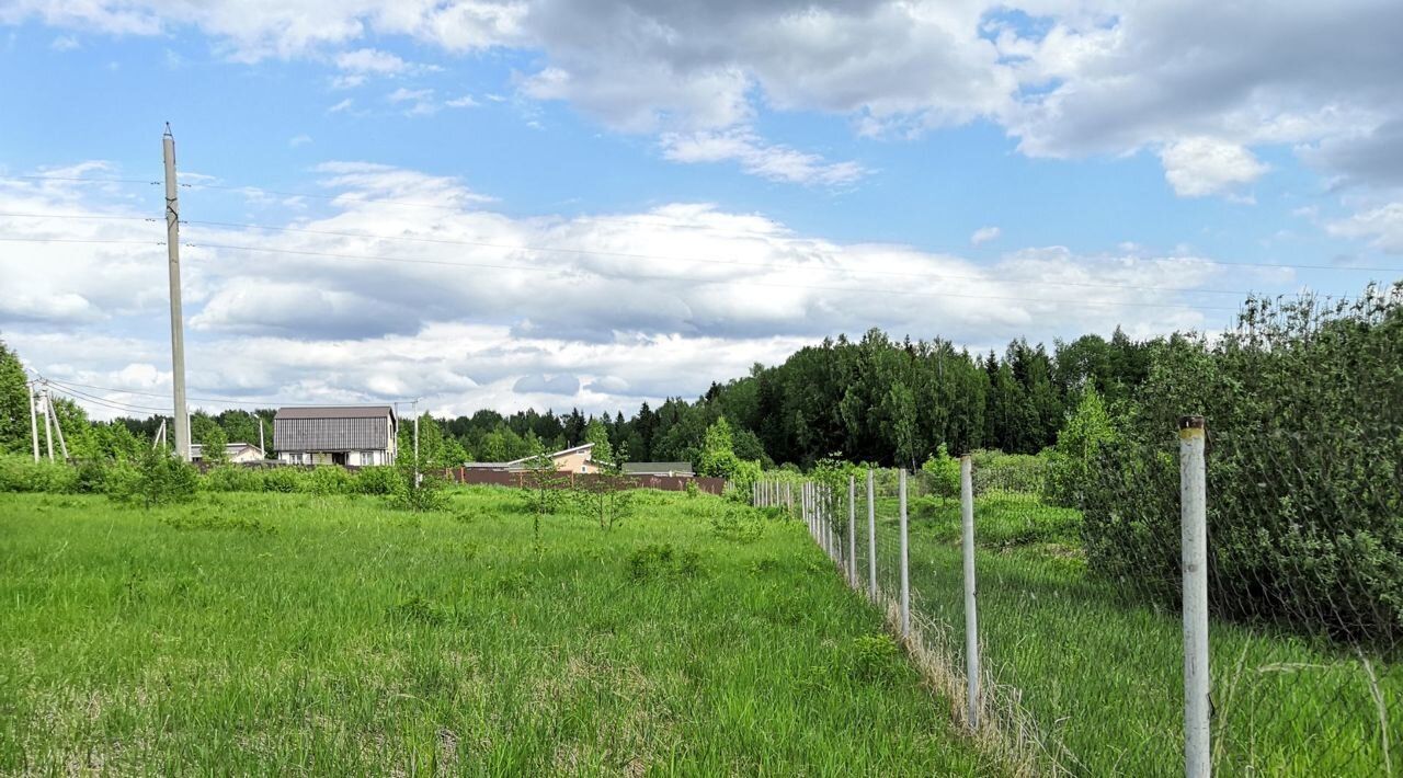 земля городской округ Шаховская Дорожная улица фото 6