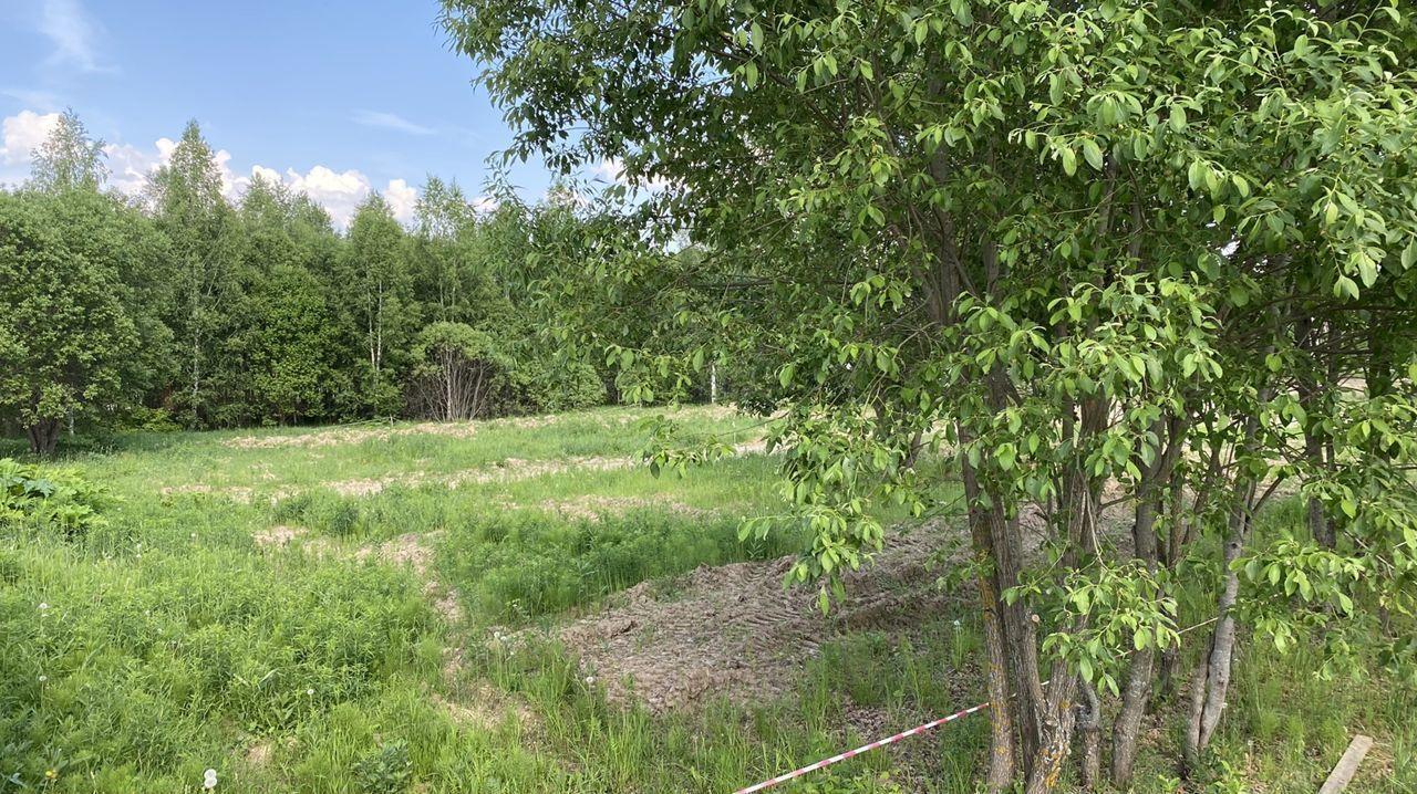 земля городской округ Истра д Лечищево городской округ Истра, Глебовский, Центральная улица фото 2