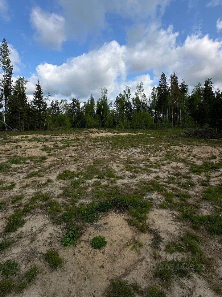 земля городской округ Богородский г Электроугли Электроугли, 12 фото 5