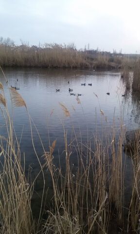 с Водорацк Поливановское сельское поселение, Барыш фото