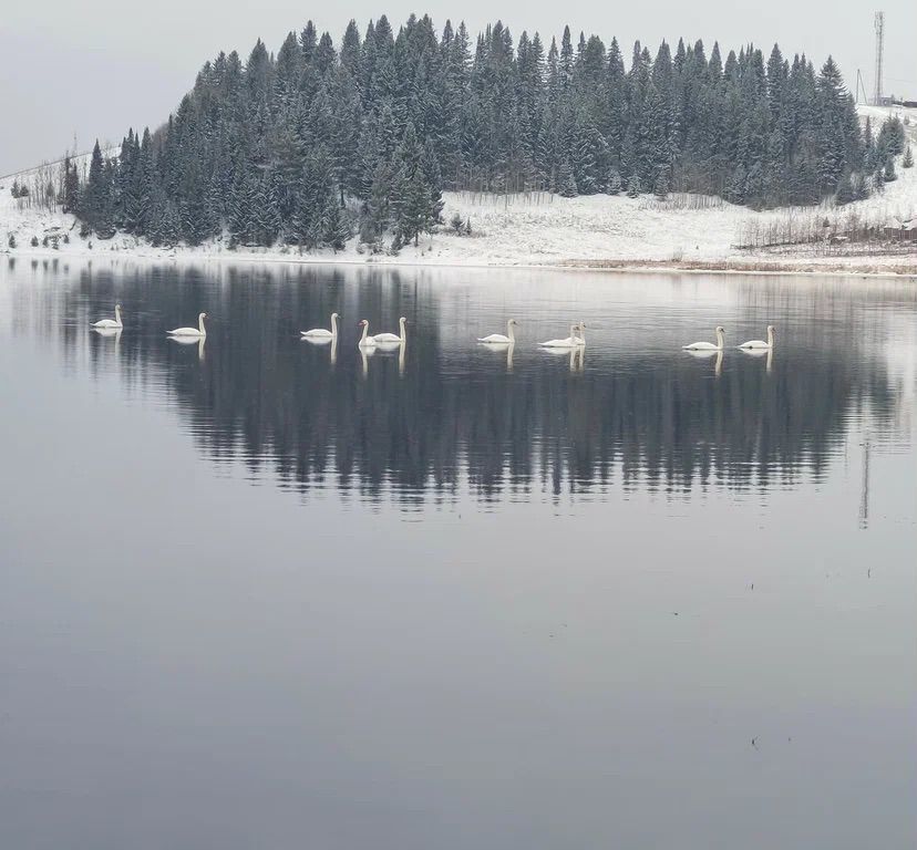 земля р-н Шалинский с Сылва ул Звездная Шаля фото 29