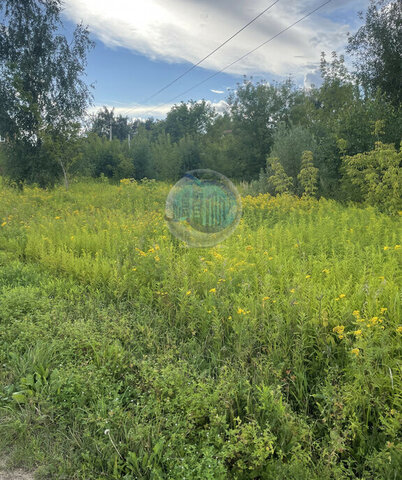 п Десеновское д Яковлево Московская область, городской округ Подольск фото