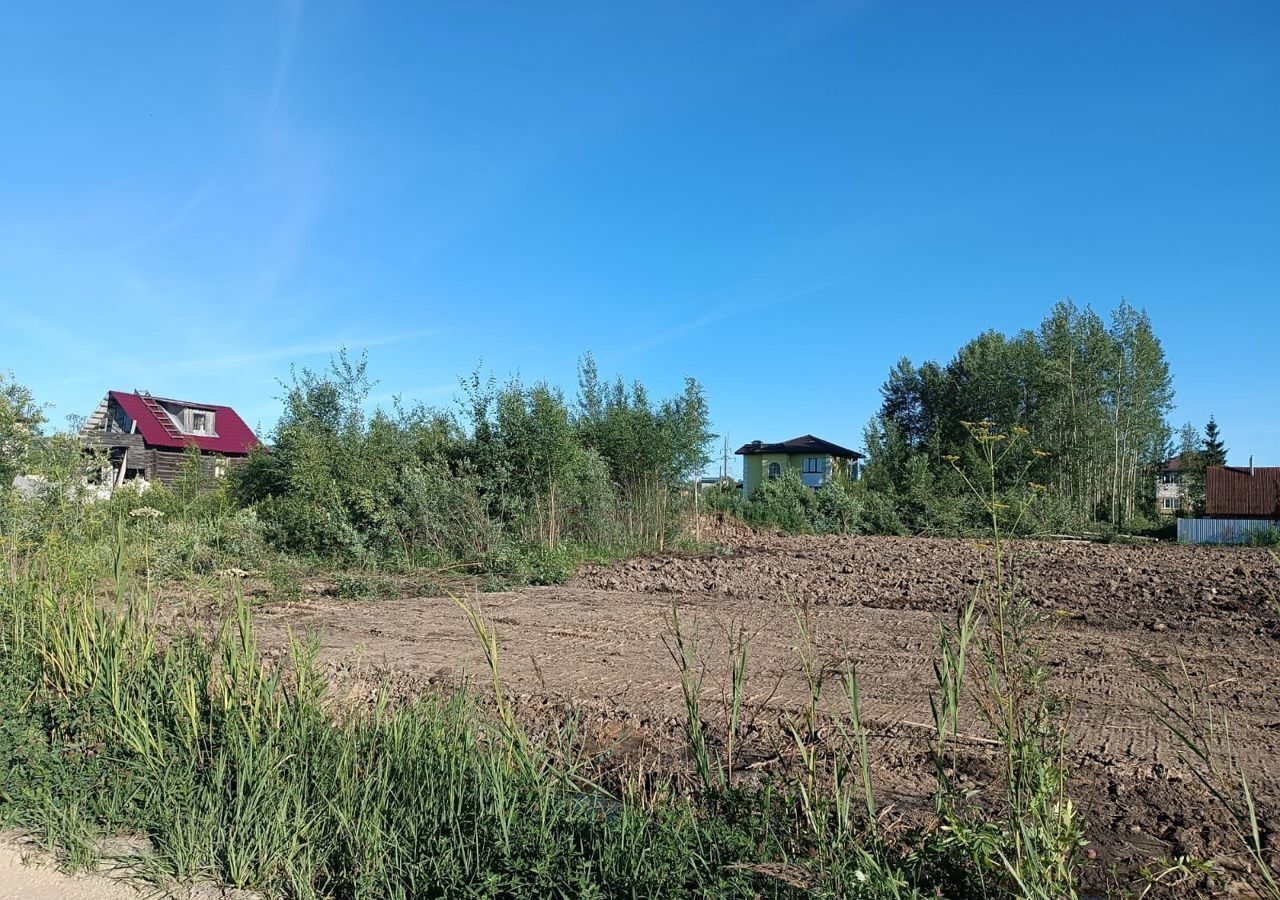 земля р-н Новгородский д Плетниха ул Талькова Ермолинское сельское поселение, Панковка фото 2