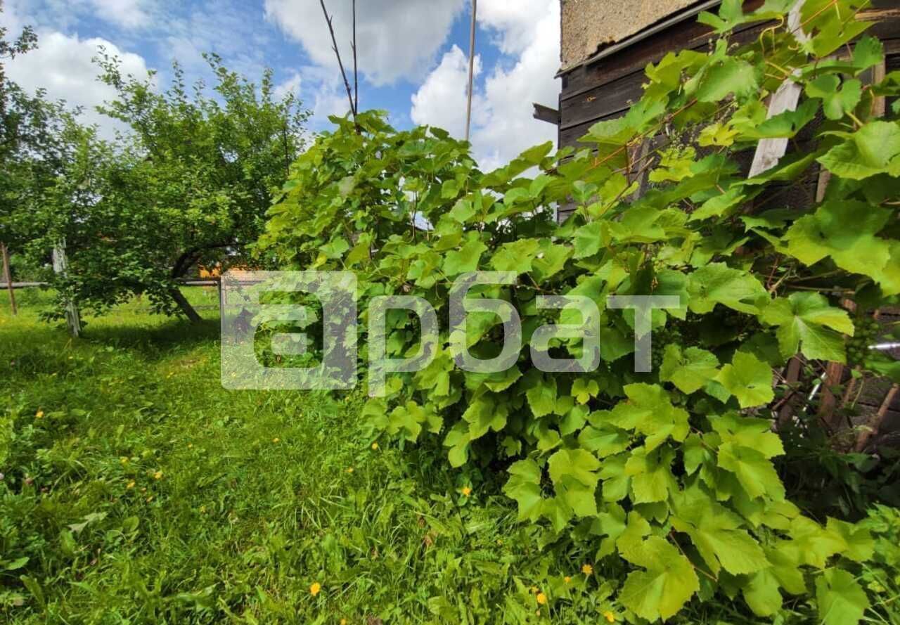 дом р-н Шарьинский г Шарья пгт Ветлужский пер Ромашковый Ветлужский фото 22