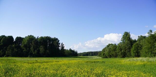 земля п Мельниково Мельниковское с/пос фото