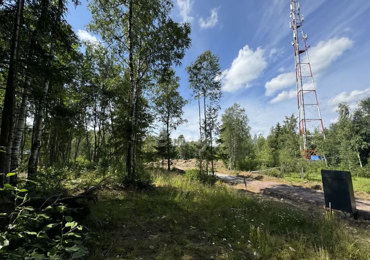 земля р-н Приозерский д Новожилово ул Центральная 29 Сосновское сельское поселение, Сосново фото 8