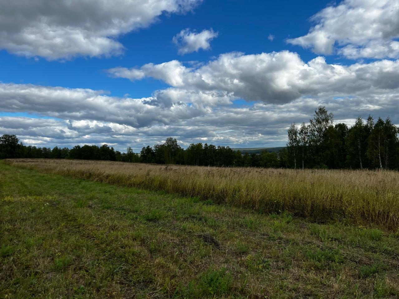 земля р-н Кунгурский фото 3