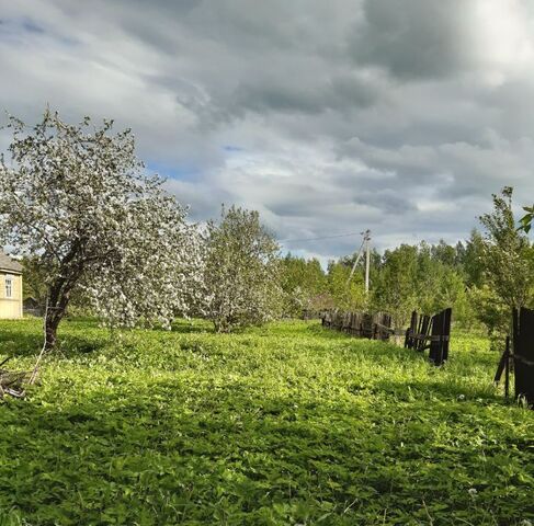 земля д Репки фото