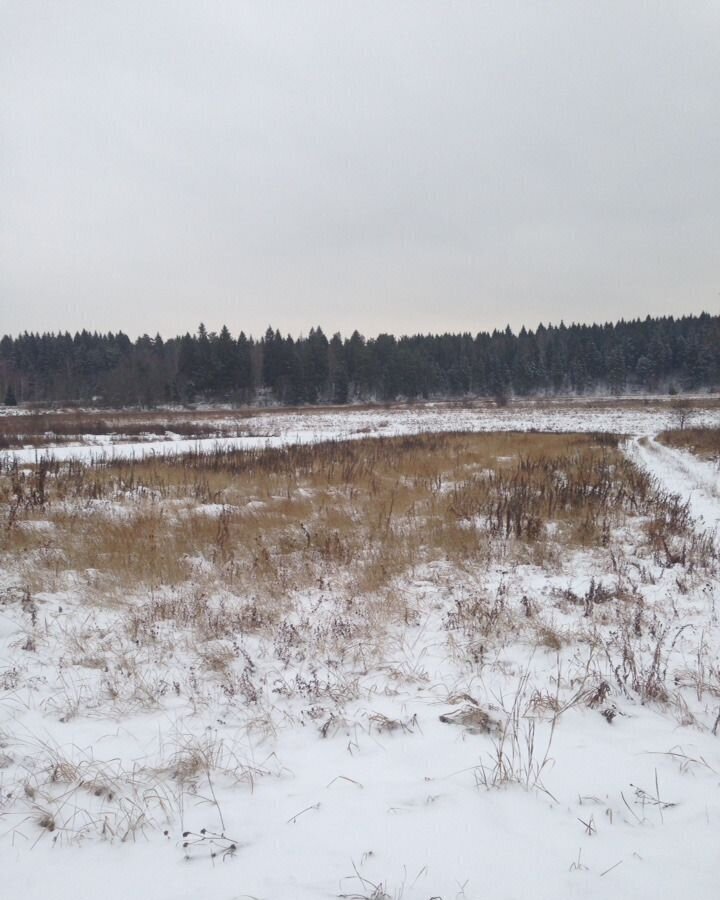 земля городской округ Можайский 111 км, Уваровка, Минское шоссе, д. Барсуки фото 9