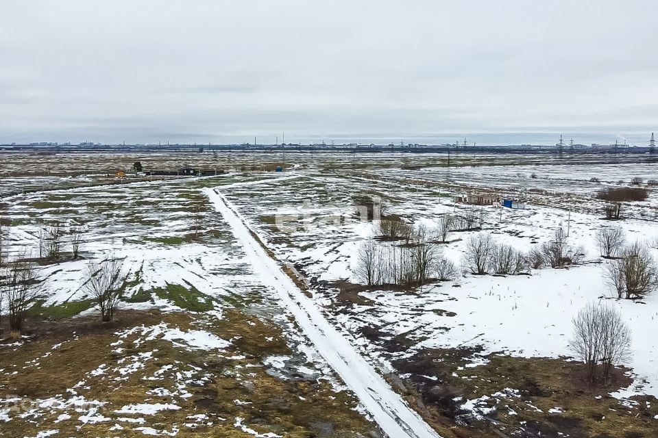 земля р-н Тосненский деревня Глинка фото 3