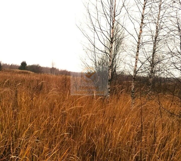 земля городской округ Шаховская д Артемки ул Центральная фото 3