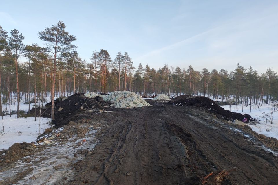 земля р-н Всеволожский Всеволожское городское поселение фото 3