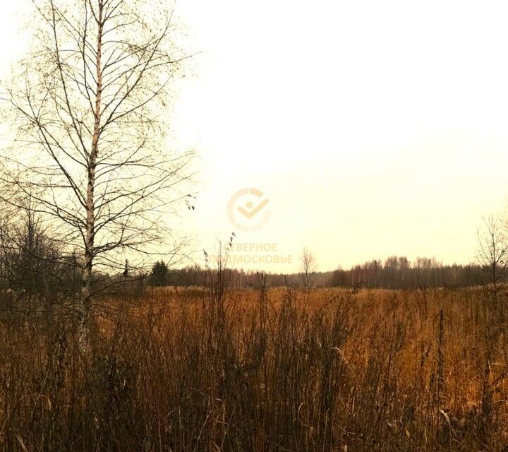 земля городской округ Шаховская д Артемки ул Центральная фото 4