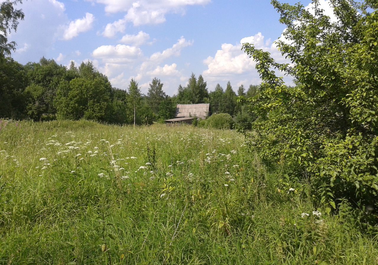 земля р-н Окуловский д Смёново Угловское городское поселение, Окуловка фото 3