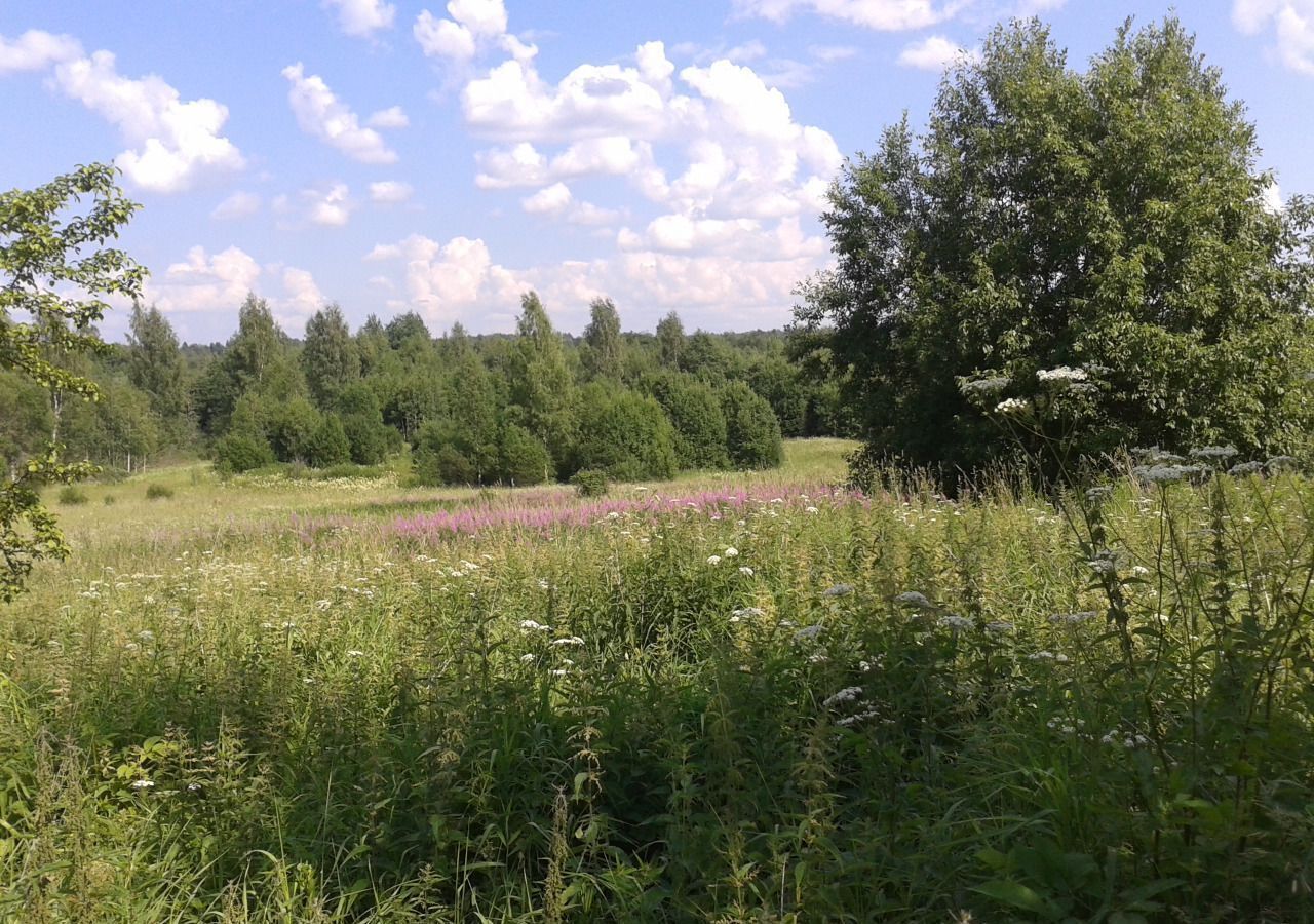 земля р-н Окуловский д Смёново Угловское городское поселение, Окуловка фото 4