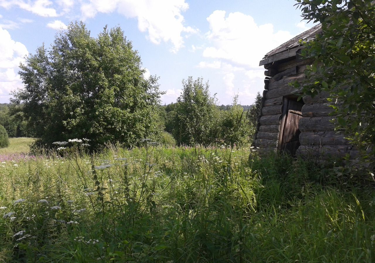 земля р-н Окуловский д Смёново Угловское городское поселение, Окуловка фото 5