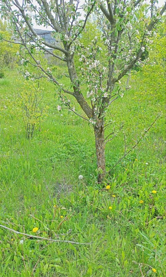 дом р-н Барышский г Барыш ул Механизаторов 42 Барышское городское поселение фото 35