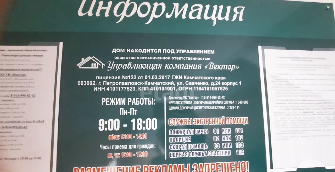 квартира г Петропавловск-Камчатский ул Академика Курчатова 53 фото 19