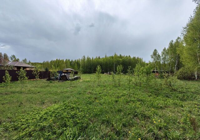 направление Рижское (северо-запад) ш Новорижское 112 км, садоводческое товарищество Роса, Шаховская фото