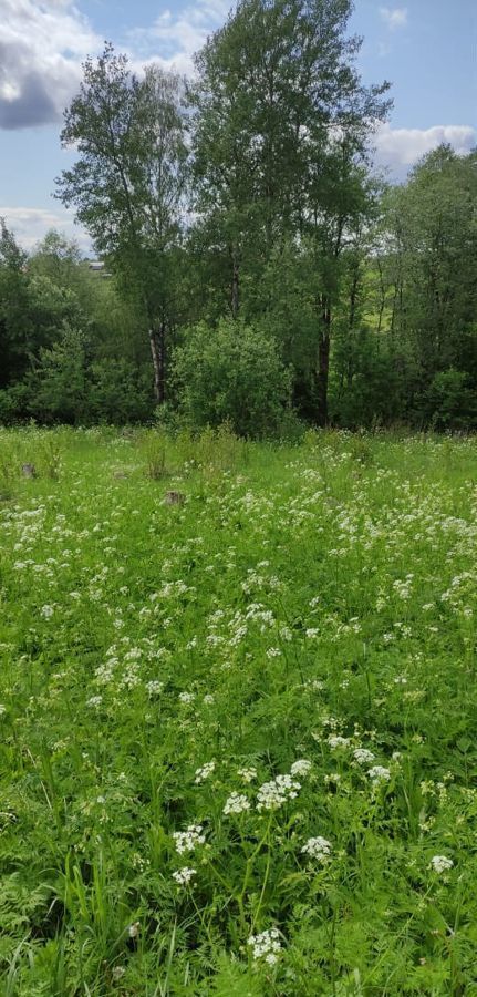 земля городской округ Истра д Малое Ушаково г. о. Истра, Глебовский фото 3