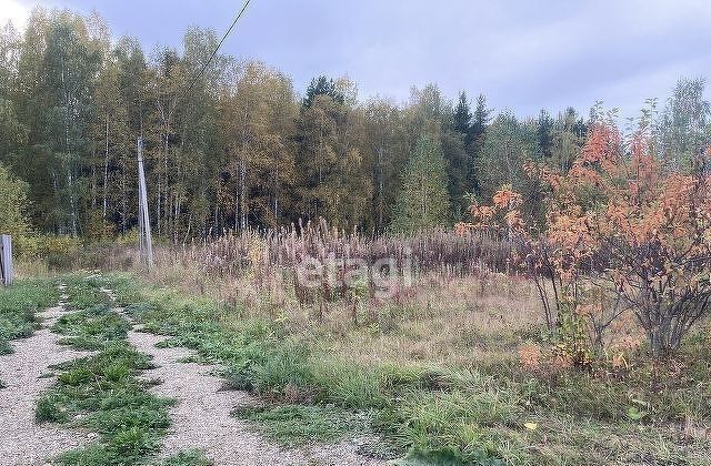 земля р-н Пригородный с Николо-Павловское коллективный сад № 6 Николо-Павловский фото 6