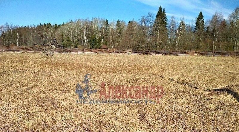 земля р-н Выборгский п Глубокое пр-д 2-й Воробьёвый Каменногорское городское поселение, Парнас фото 3