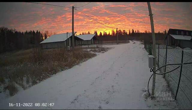 Лесной хуторок тер фото